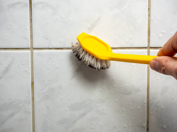 Best Mold Damage Repair  in Trezevant, TN