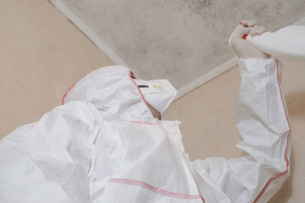 Best Mold Testing  in Trezevant, TN